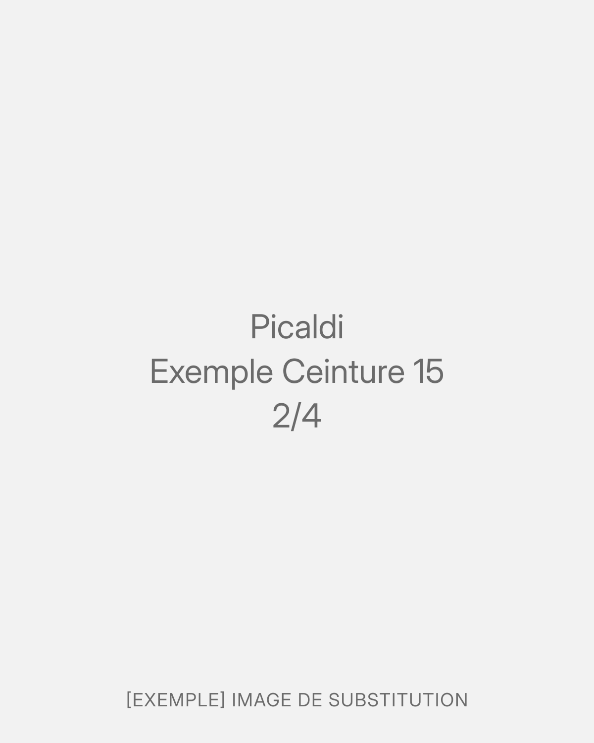 Picaldi Exemple Ceinture 15 (2/4)