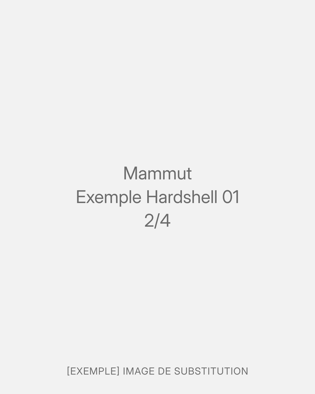 Mammut Exemple Hardshell 01 (3/4)