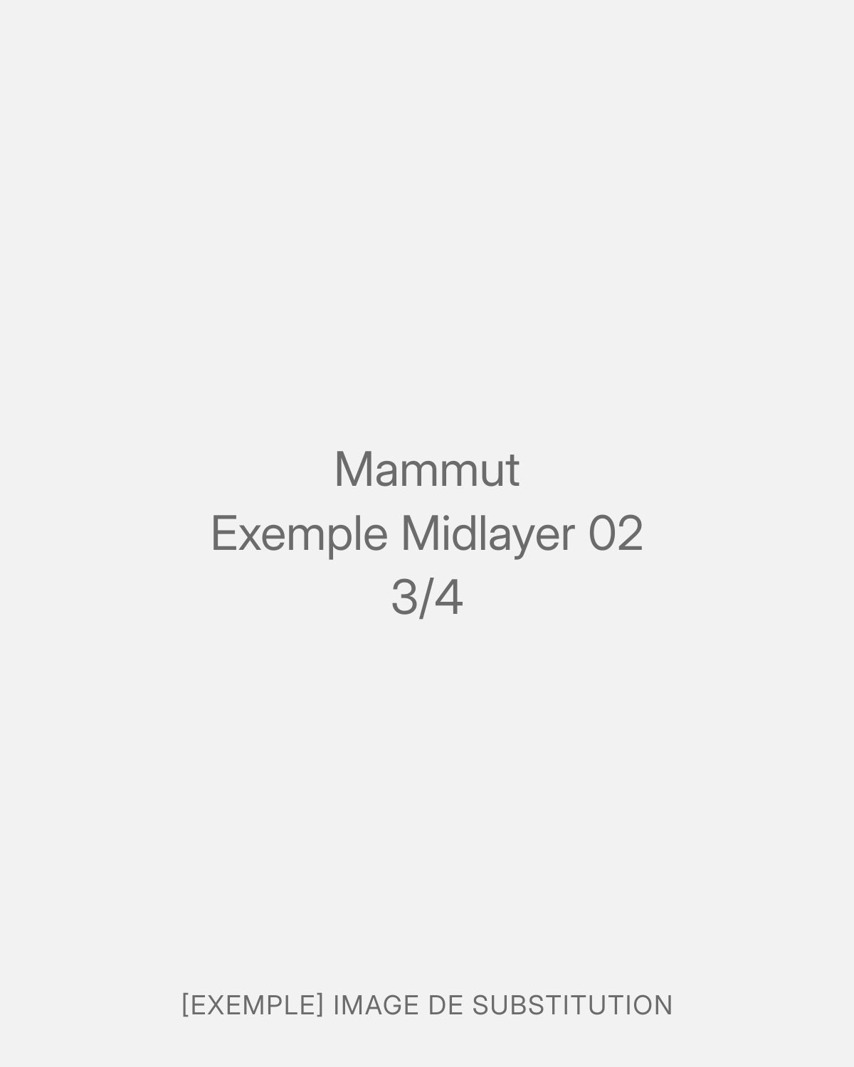 Mammut Exemple Midlayer 02 (3/4)