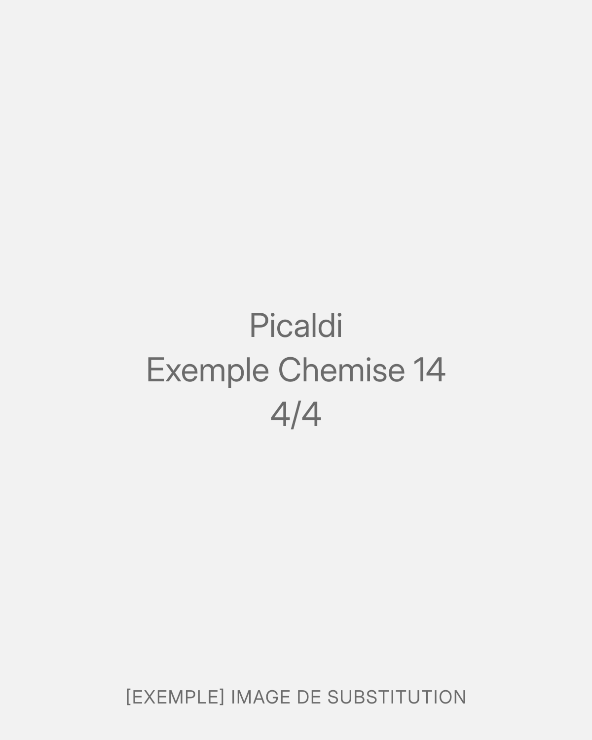Picaldi Exemple Chemise 14 (4/4)