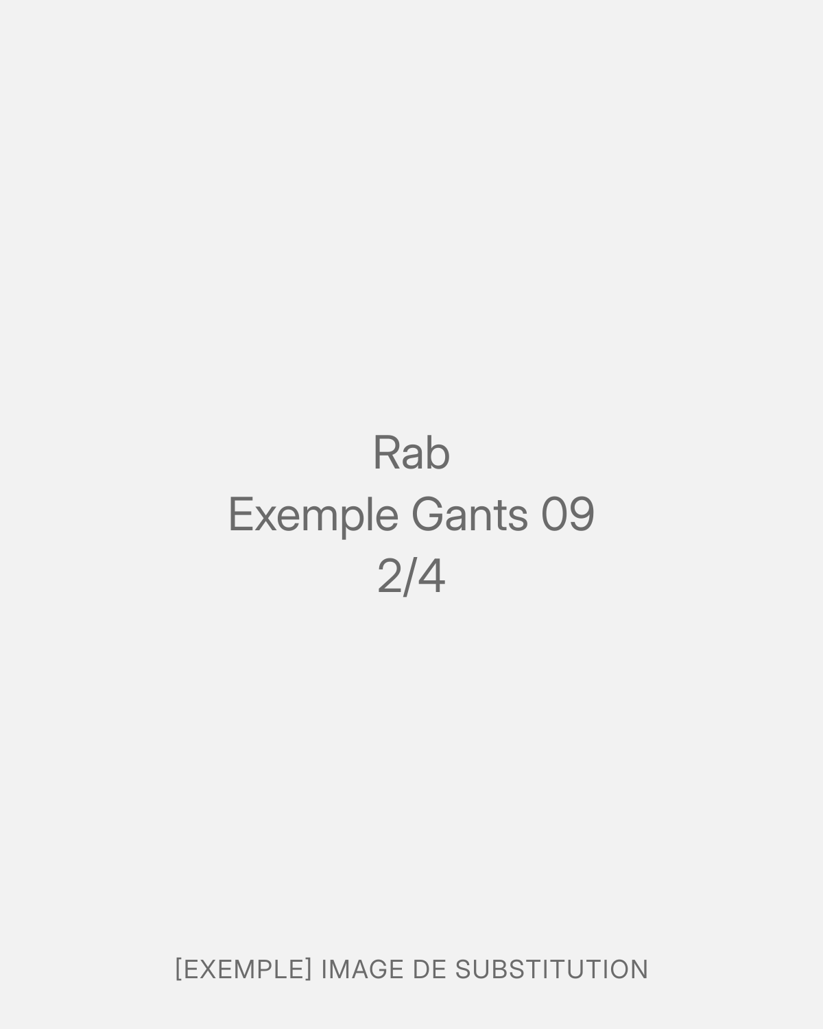 Rab Exemple Gants 09 (2/4)