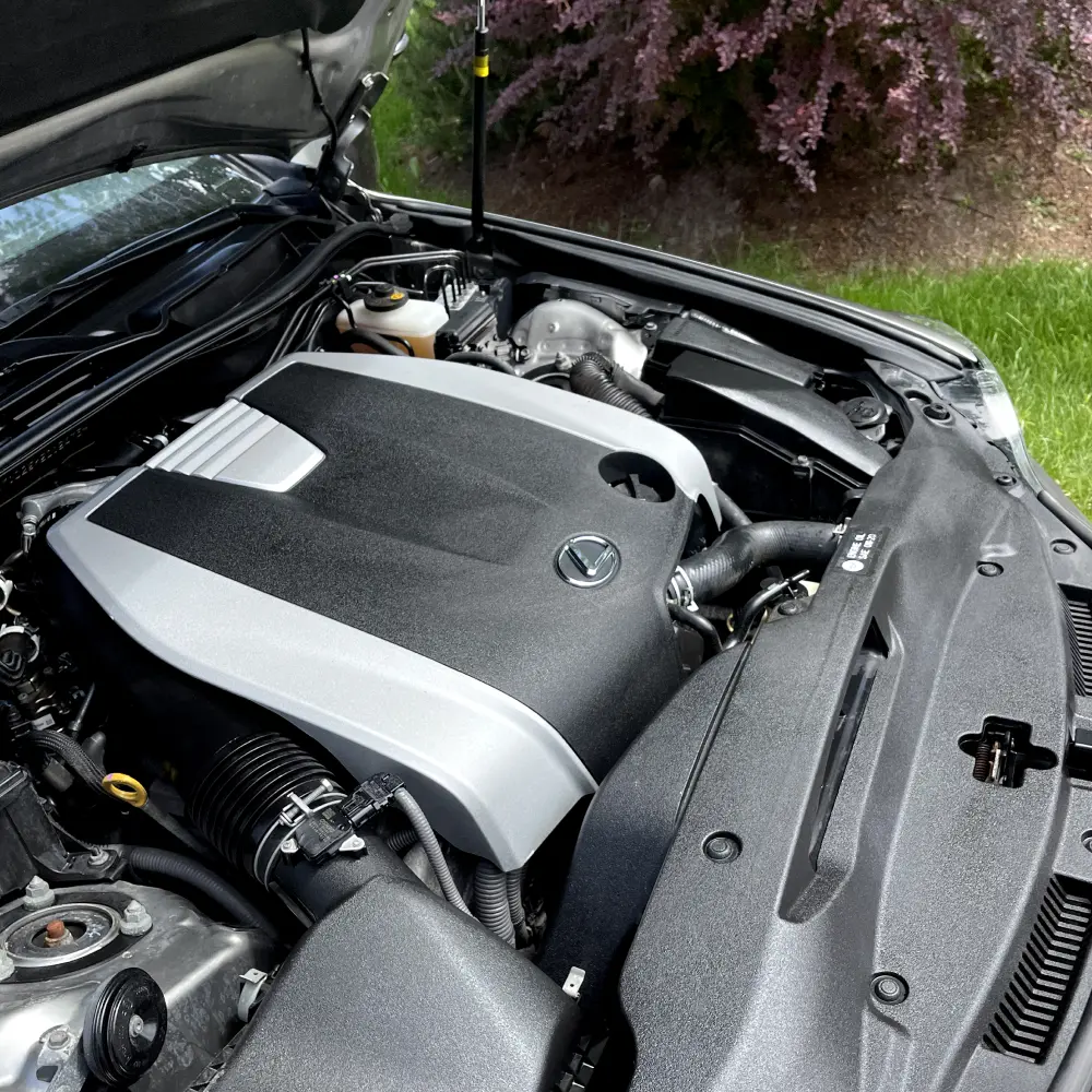 Lexus Engine Detailing