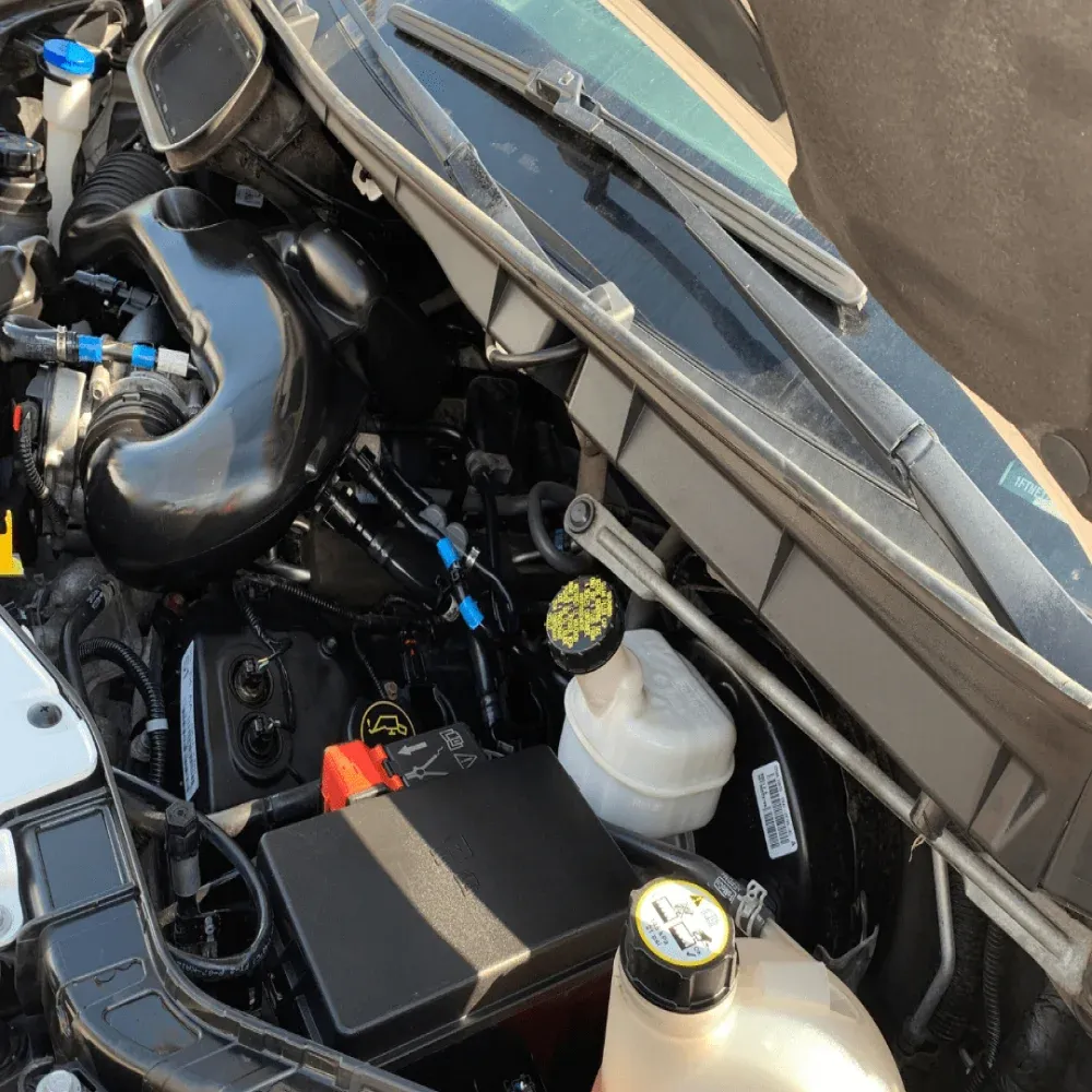 Engine Detailing