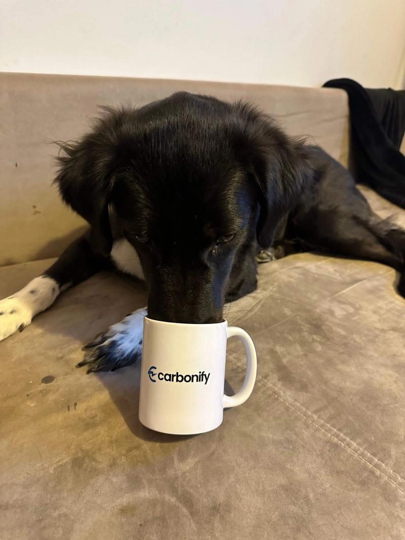 Fabienne Hund Bailey mit carbonify Tasse