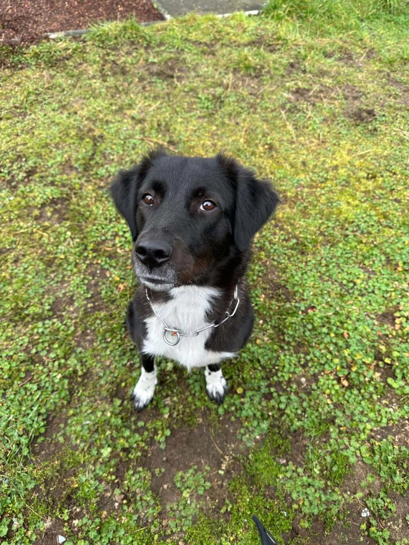 Fabienne Hund Bailey