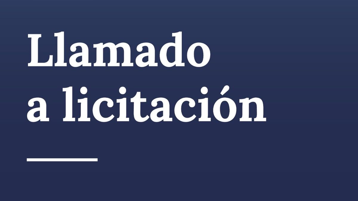 Nueva licitación del Tesoro