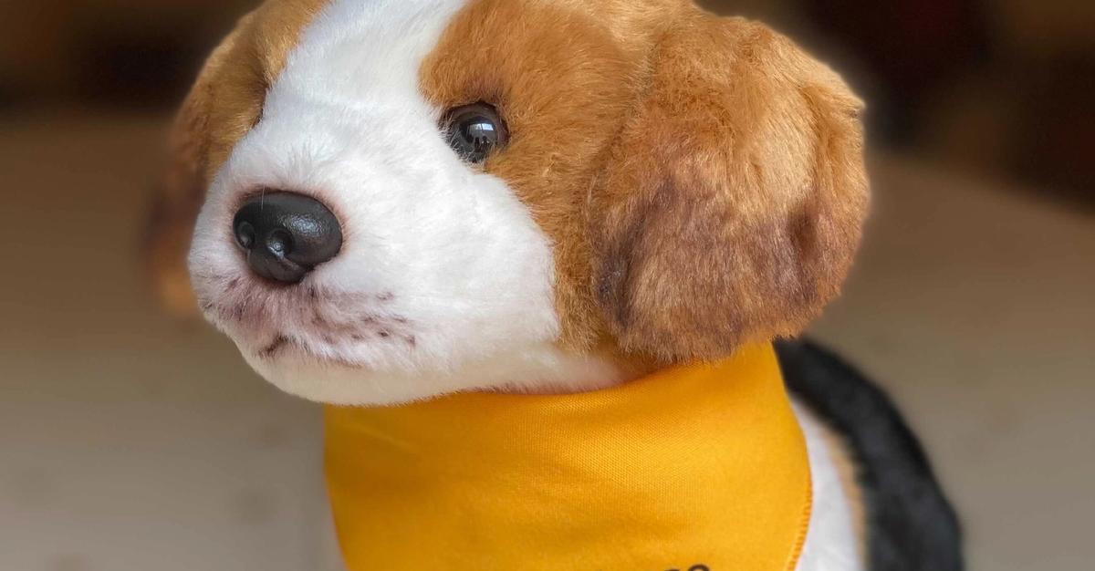 Tale of the Beagle (Or It Doesn’t Scale—Except When It Does) | Honeycomb