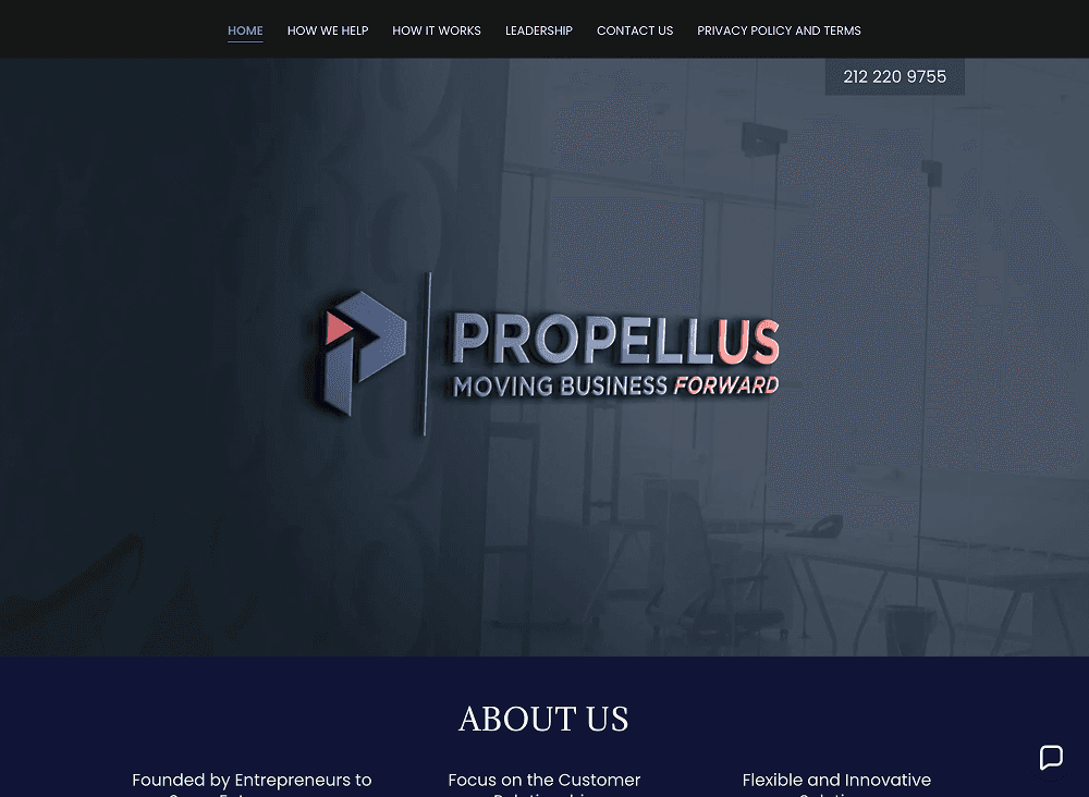 Propellus website before the redesign, screen 2