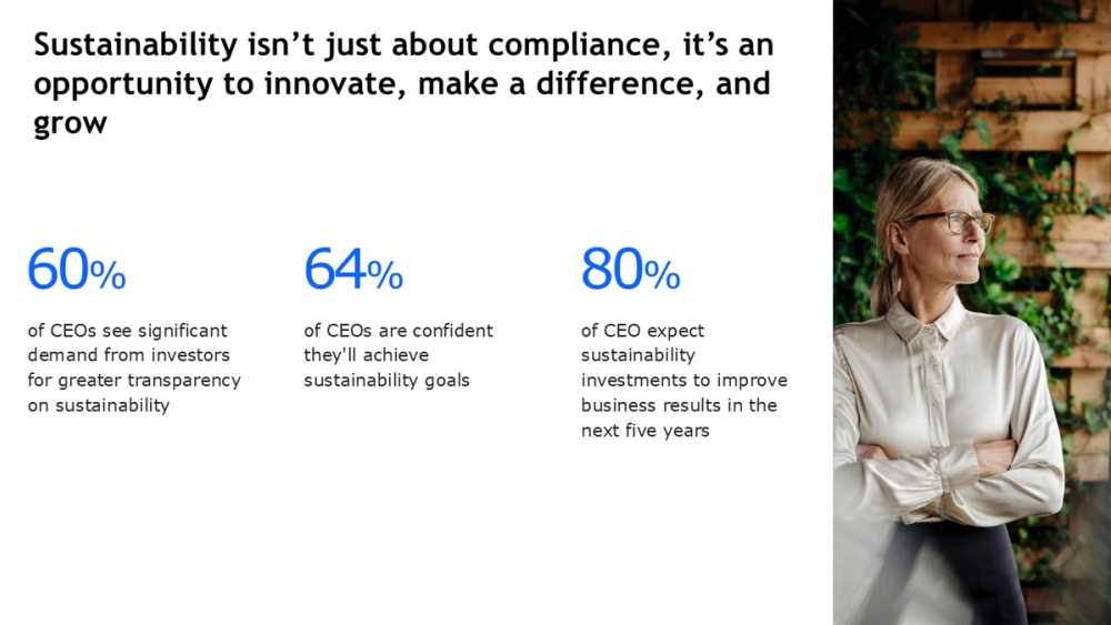 CEO Sentiment Slide on Sustainability Transparency and Investment Impact