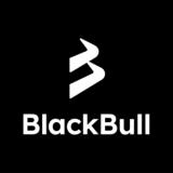 Logo de BlackBull Markets