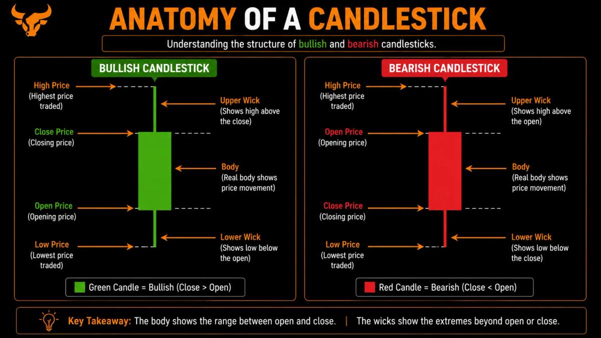 candle anatomy diagram