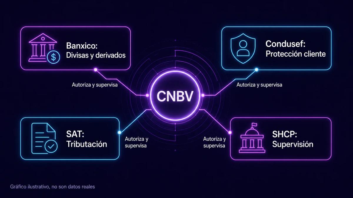 Organigrama de autoridades regulatorias mexicanas con CNBV, Banxico, Condusef y SAT conectadas
