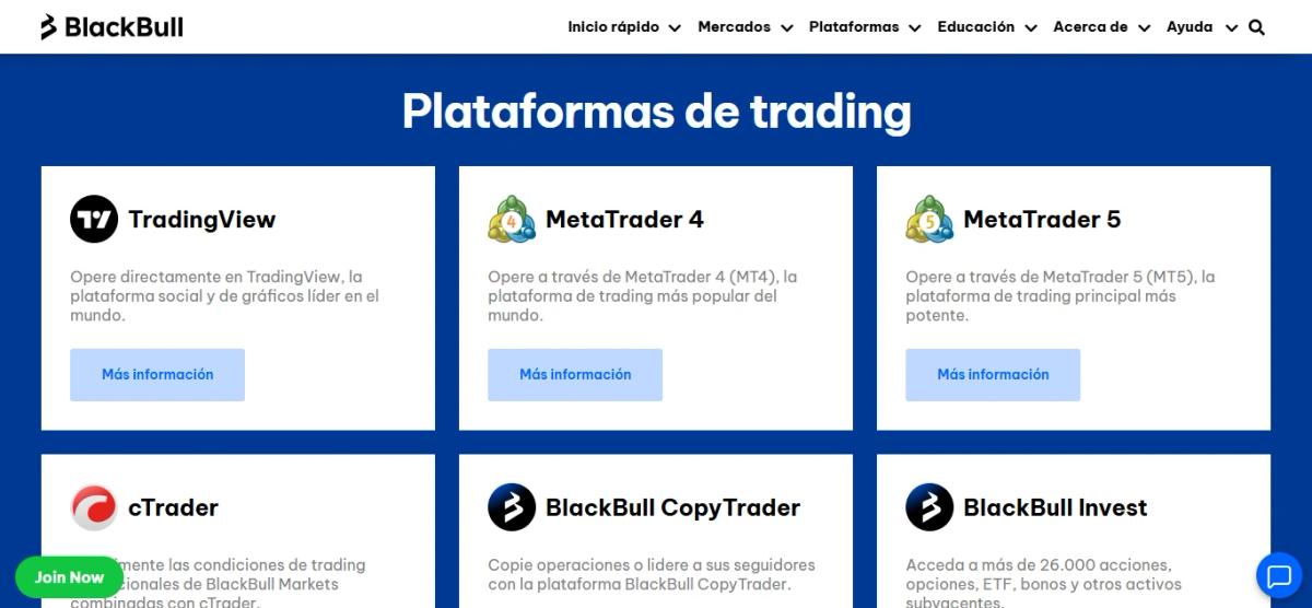 Plataformas disponibles en BlackBull Markets: MT4, MT5, cTrader, TradingView y BlackBull CopyTrader