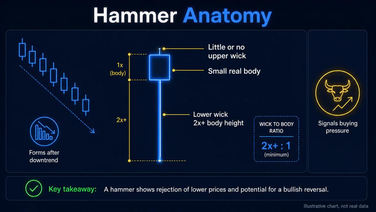 Hammer pattern anatomy showing small body, lower wick at least twice body height, minimal upper wick