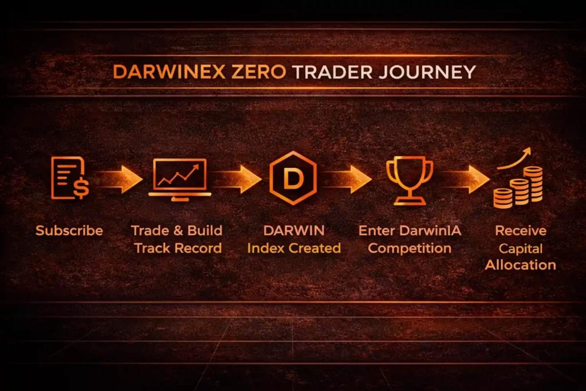 Darwinex Zero trader journey from subscription to DarwinIA capital allocation infographic