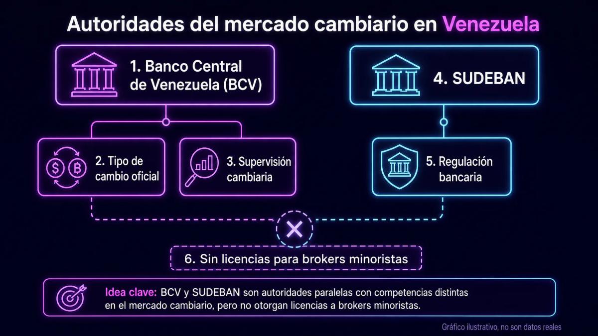 Organigrama de autoridades regulatorias venezolanas: BCV y SUDEBAN con sus competencias en divisas