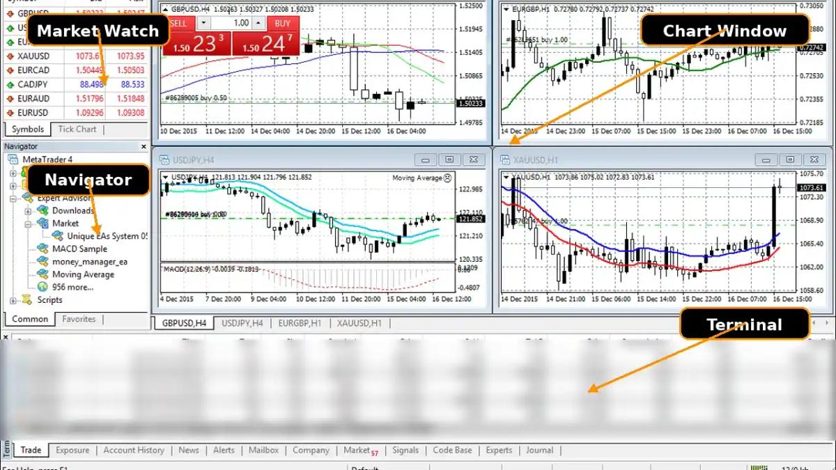 Annotated MetaTrader 4 interface showing Market Watch Navigator Chart Window and Terminal panels