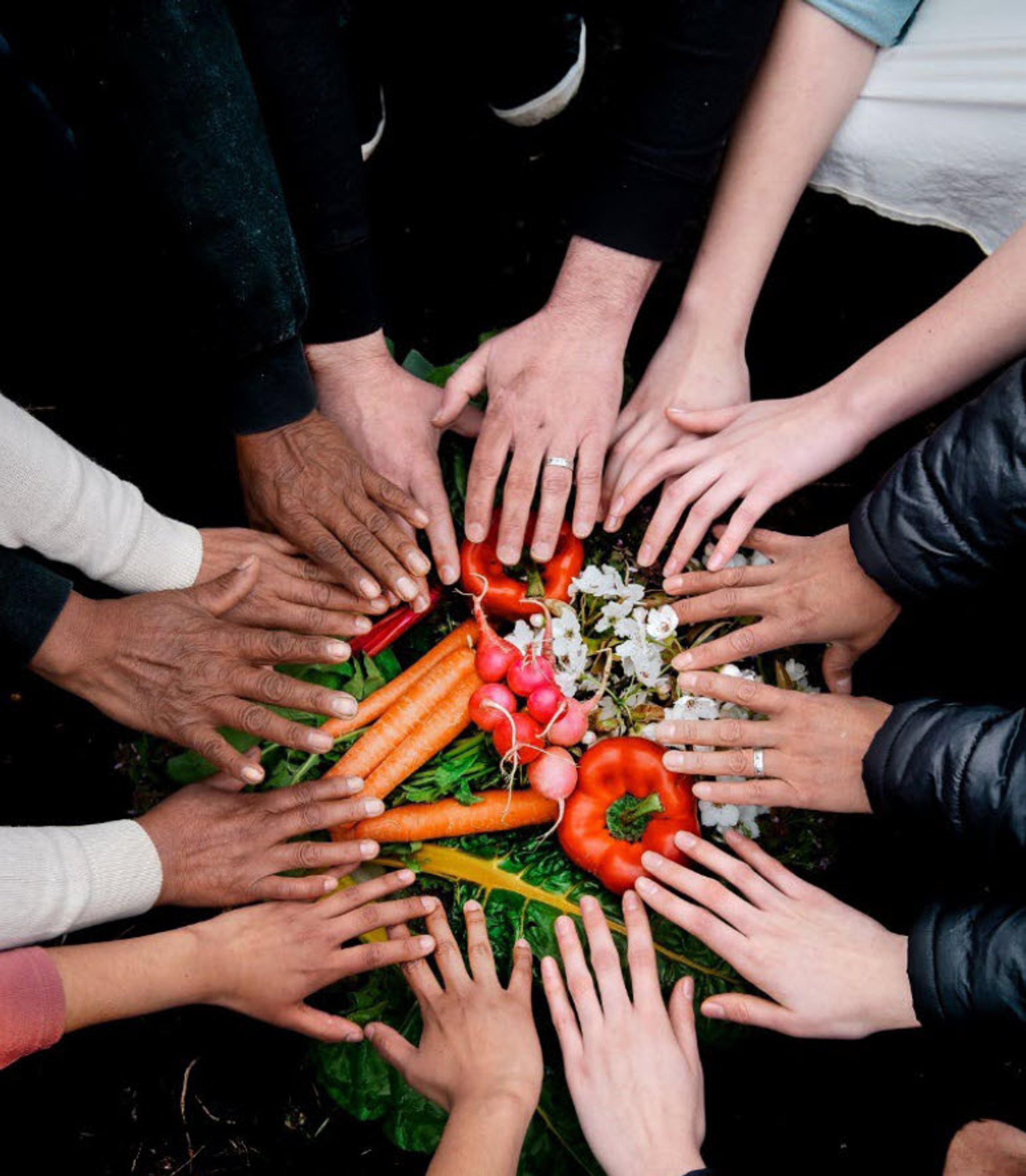 Hands, vegetables, and flowers mandala
