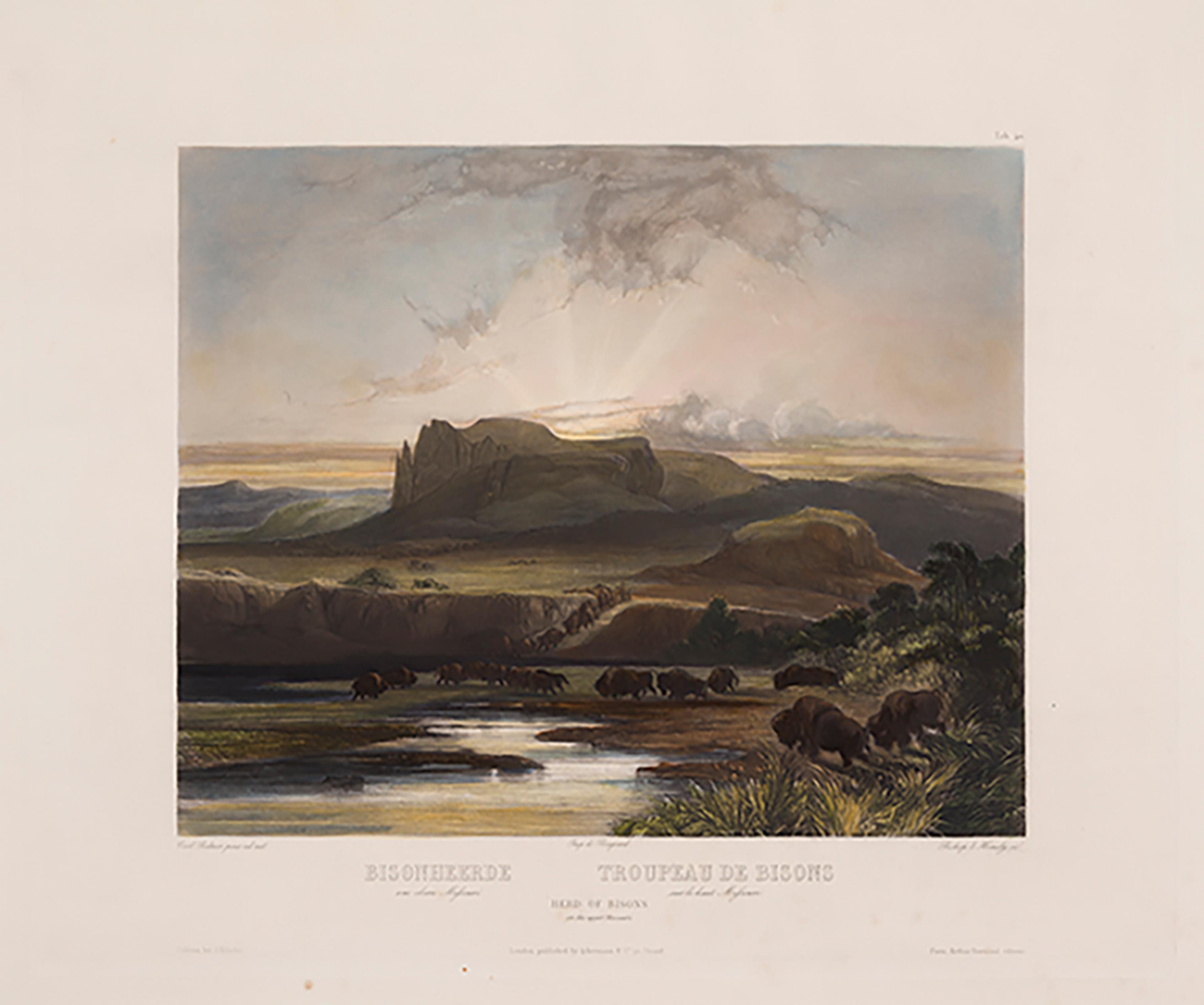 Karl Bodmer Herd of Bisons on the upper Missouri
