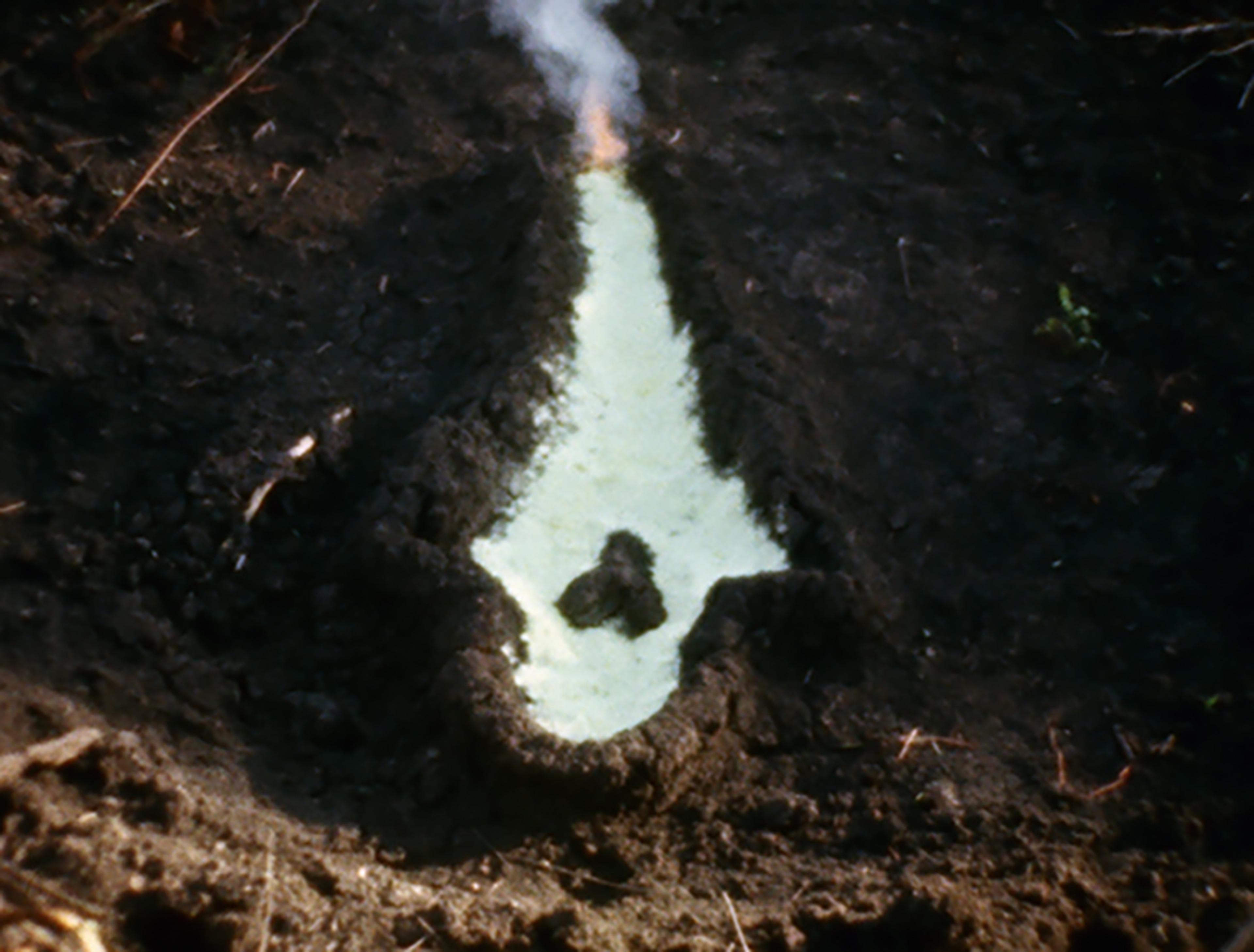 Ana Mendieta Fundamento de Palo Monte: Silueta Series (Gunpowder Works)