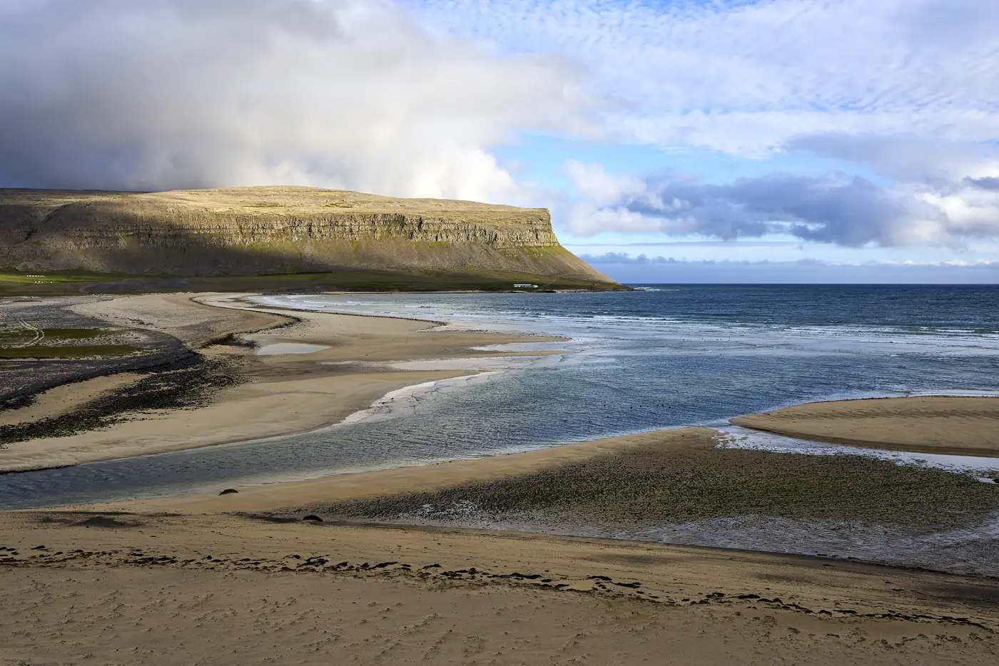Eine Robbe ruht am Strand