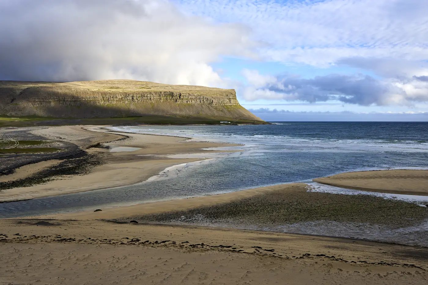 Eine Robbe ruht am Strand