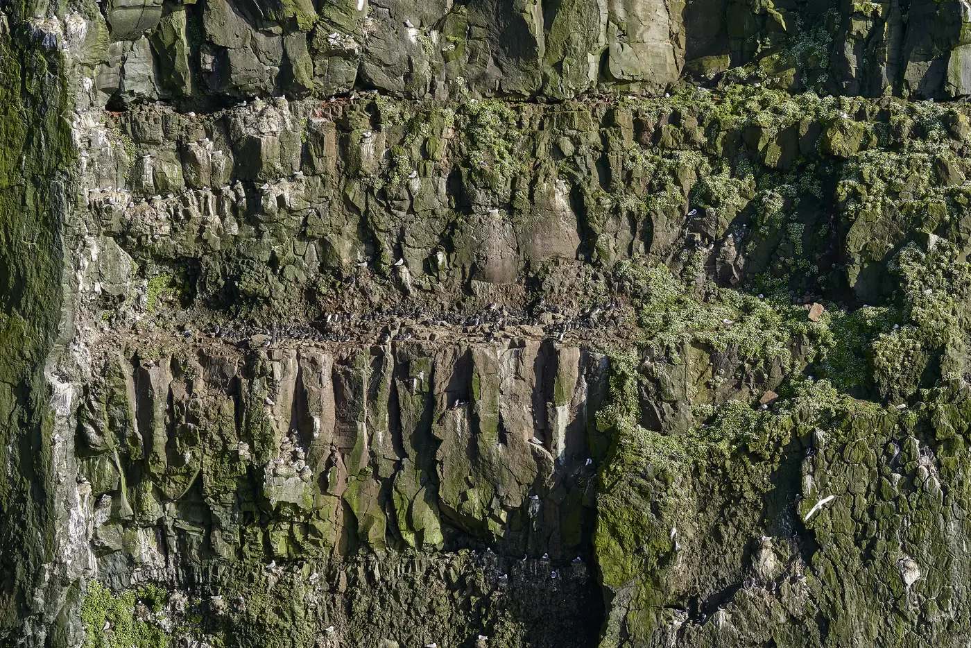 Eine dunkle, moosbewachsene Felswand