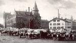 Black and white image of oxen- and horse-drawn carts filled with Knorr products outside Heilbronn factory in the 19th century