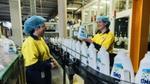 Factory workers standing over a line producing Omo liquid detergent