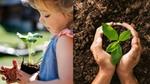 On the left an image of a girl holding a seedling and on the right an adult placing seedling in soil