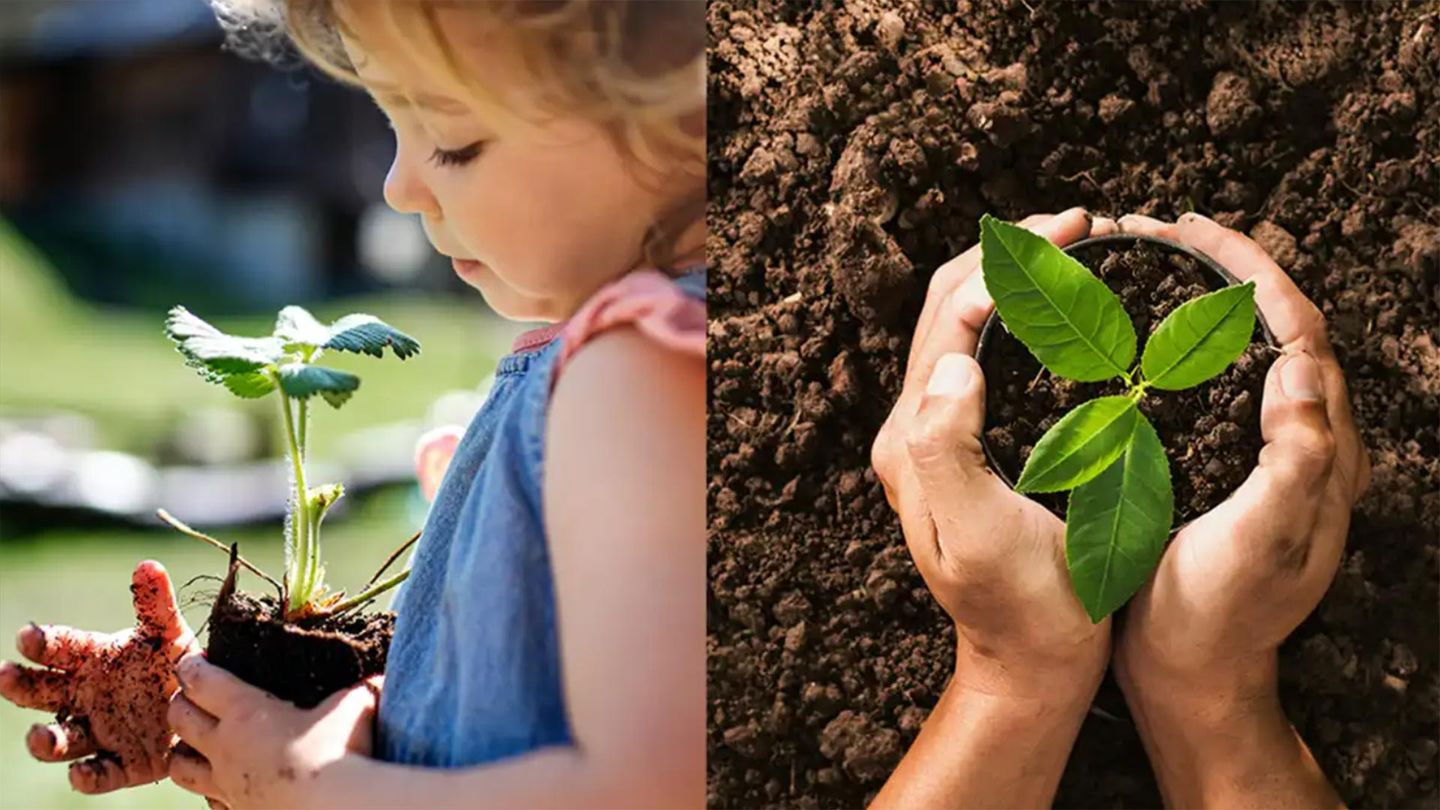 On the left an image of a girl holding a seedling and on the right an adult placing seedling in soil