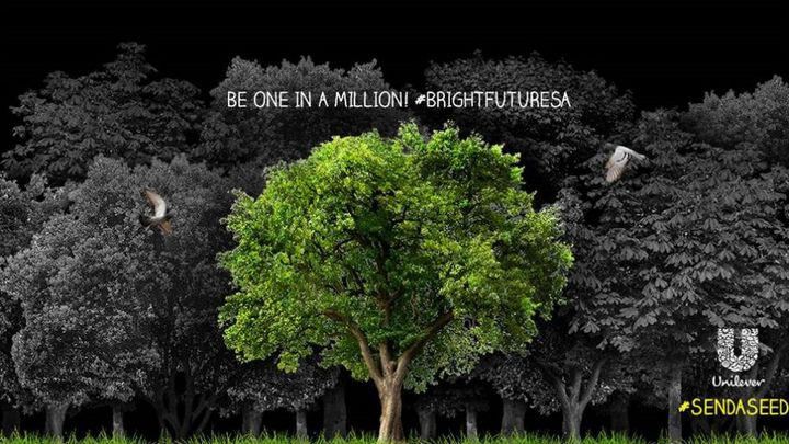Plant a Seed