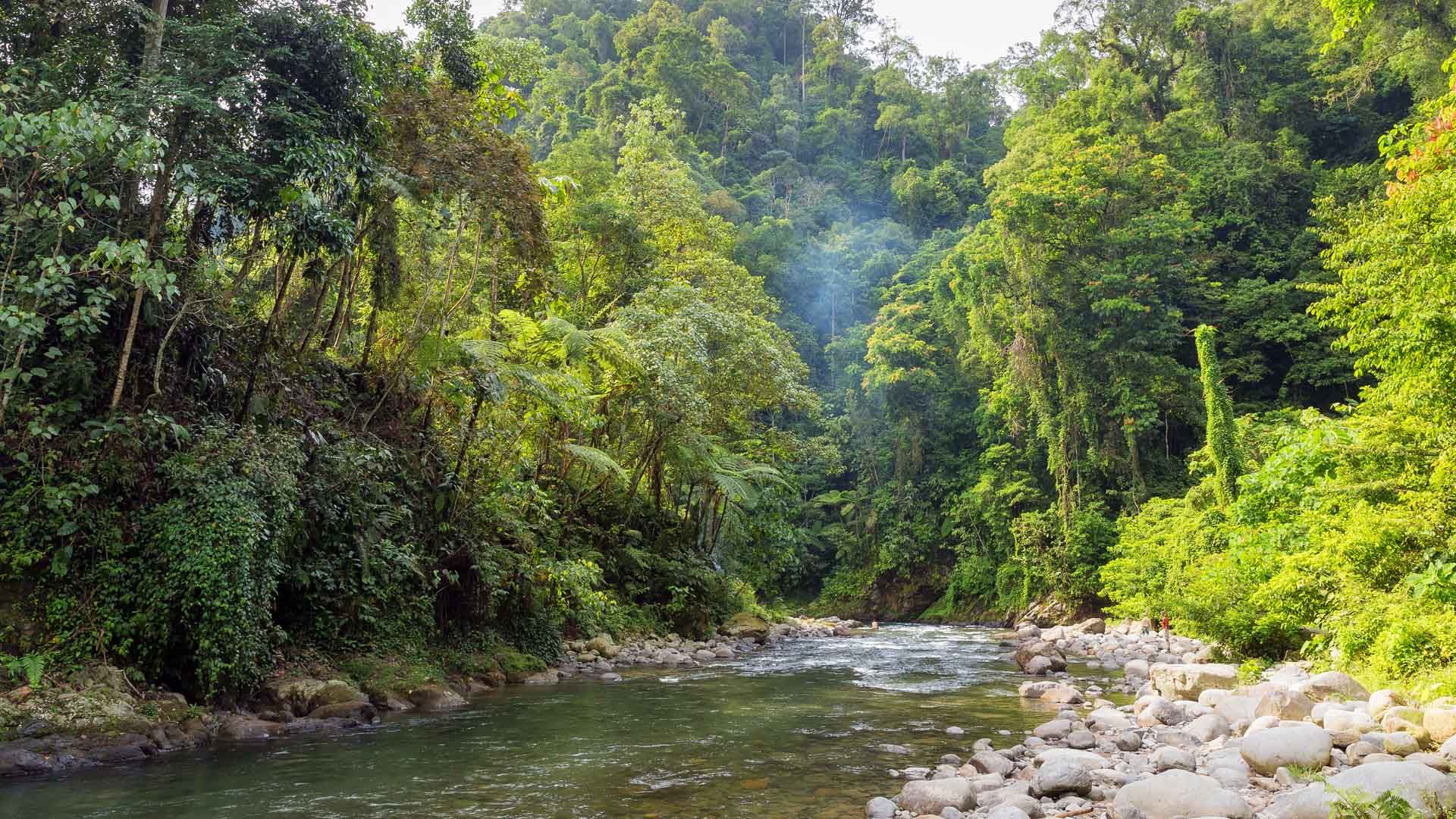 River bordered by rocks running through rainforest with trees rising up on either side.