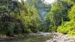 River bordered by rocks running through rainforest with trees rising up on either side.