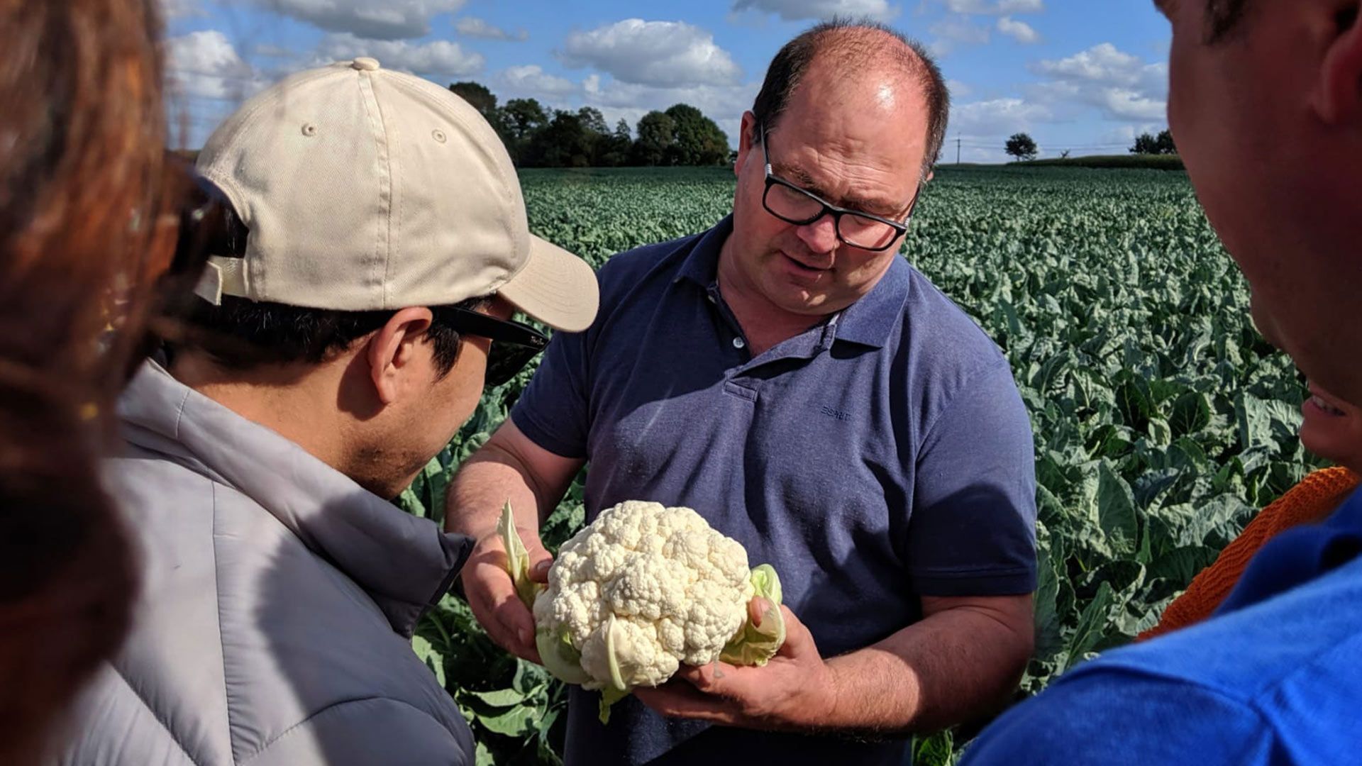 Two men in a field assess the quality of a cauliflower