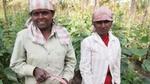 Drip irrigation has helped gherkin crop yields improve for smallholder farmers in India