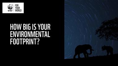 Two elephants in the dark witht he text how big is your enviromental footprint?