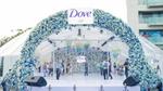 Dove Flower Dome Home page
