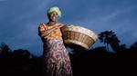 A smiling woman carrying a basket against an African sunset 