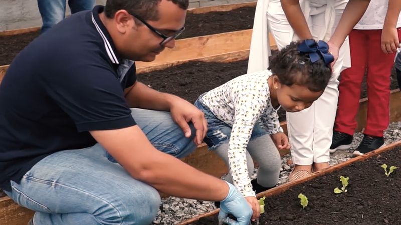 Man and young girl planting lettuces in our garden at Pouso Alegre, Brazil. The compost is made from organic factory waste.