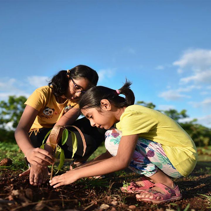 Two children planting a plant in the ground