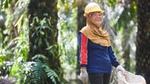 Palm oil woman farmers