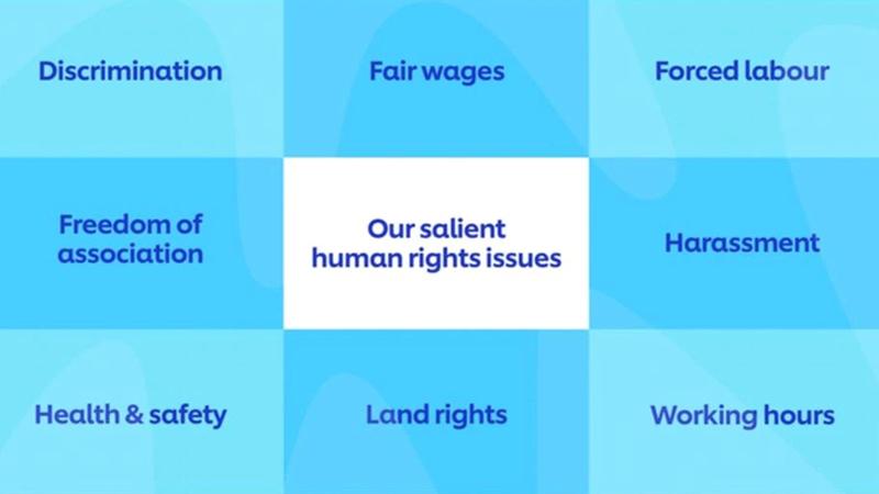 A strong policy framework and Unilever’s  human rights governance