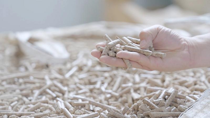 Viên gỗ sạch biomass của Unilever giảm phát thải của lò hơi