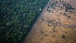 An aerial shot showing deforestation