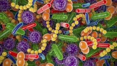 A colourful image of the skin microbiome as viewed through a microscope.