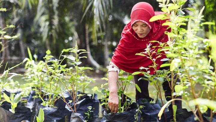 Woman planting