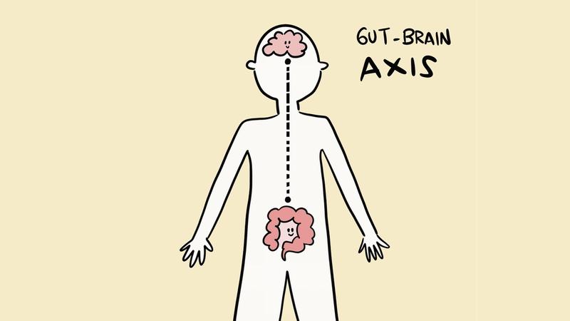 Gut - Brain Axis