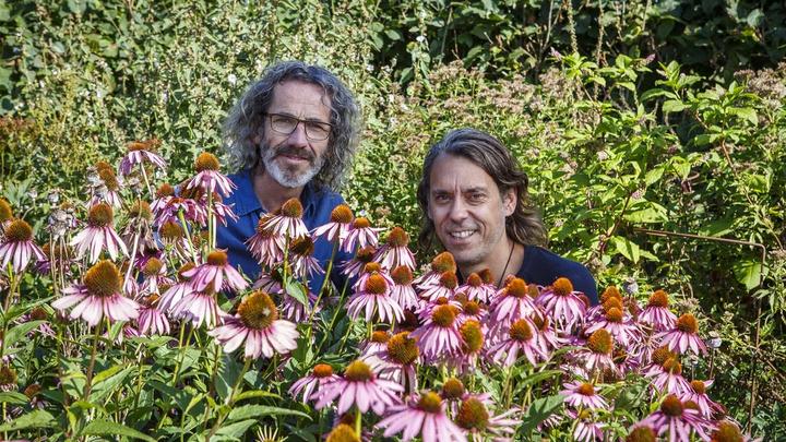 Pukka herbs founders