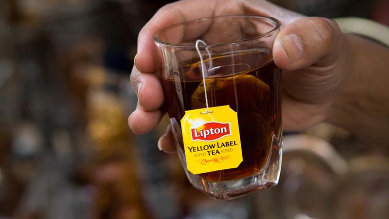 A hand holding a cup of Lipton's tea